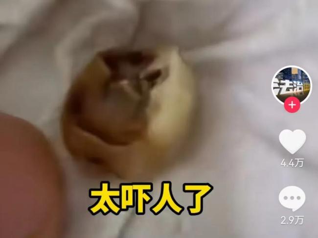 圖片來源:抖音@法治進行時 截圖