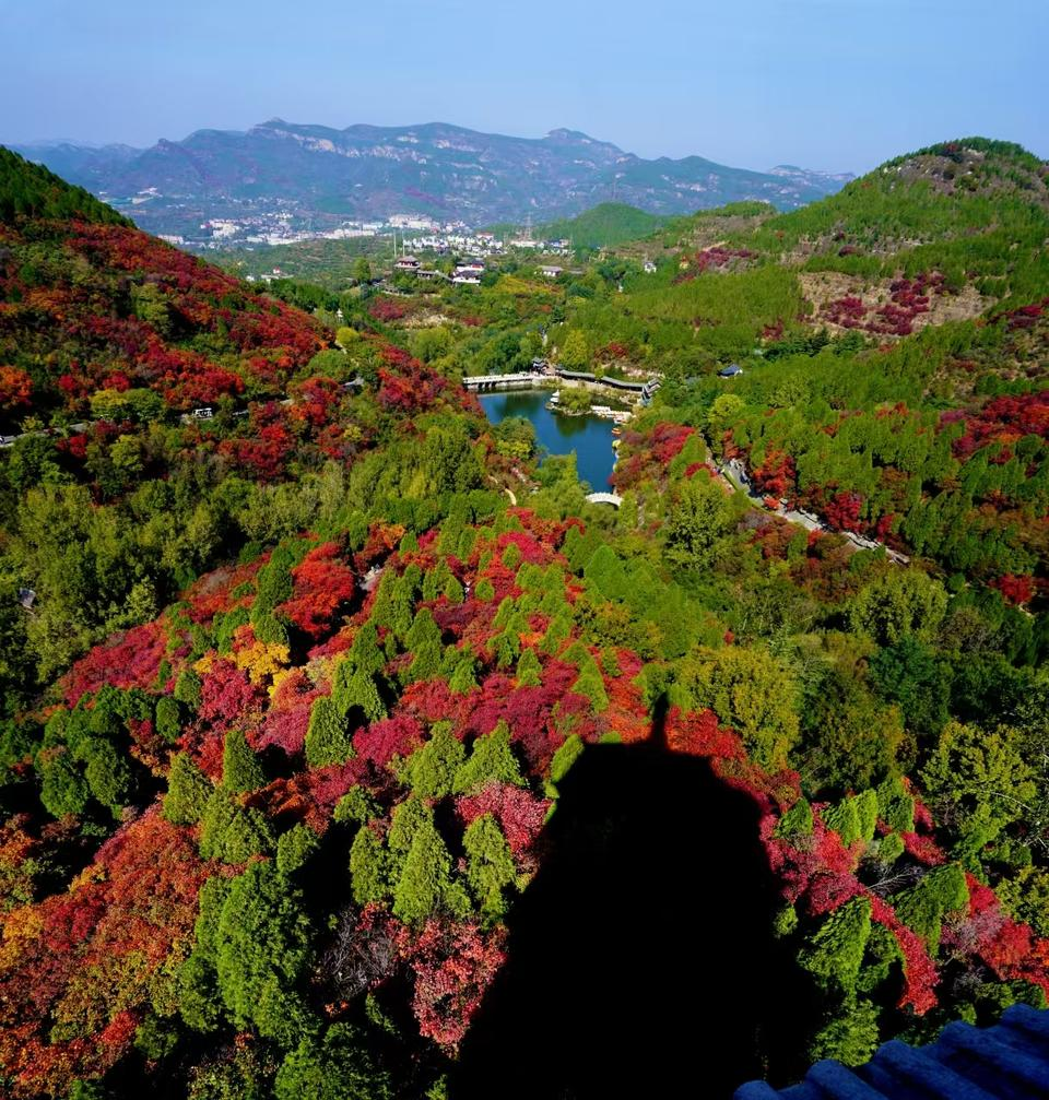 山東:顏值帶來人氣,賞秋催熱“紅葉經(jīng)濟(jì)”