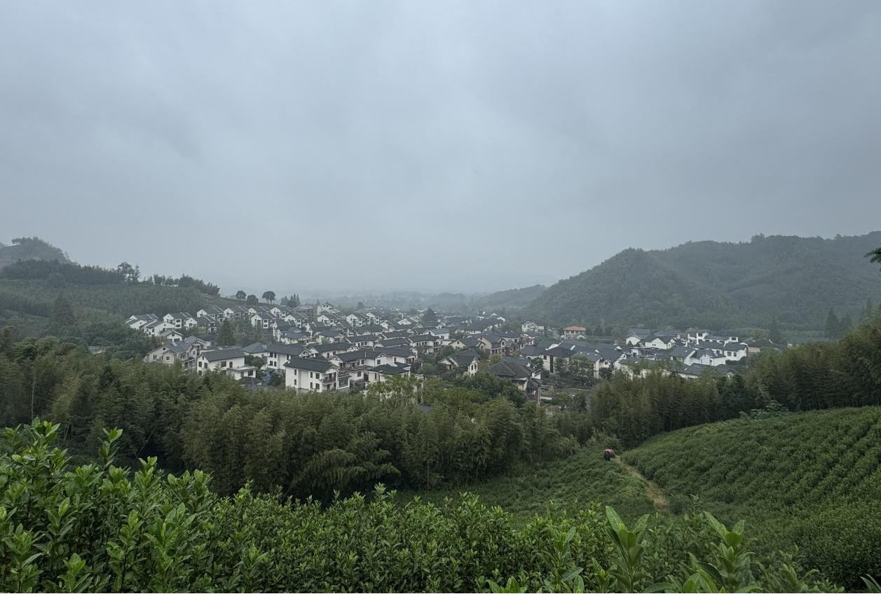 細雨籠罩下的徑山村