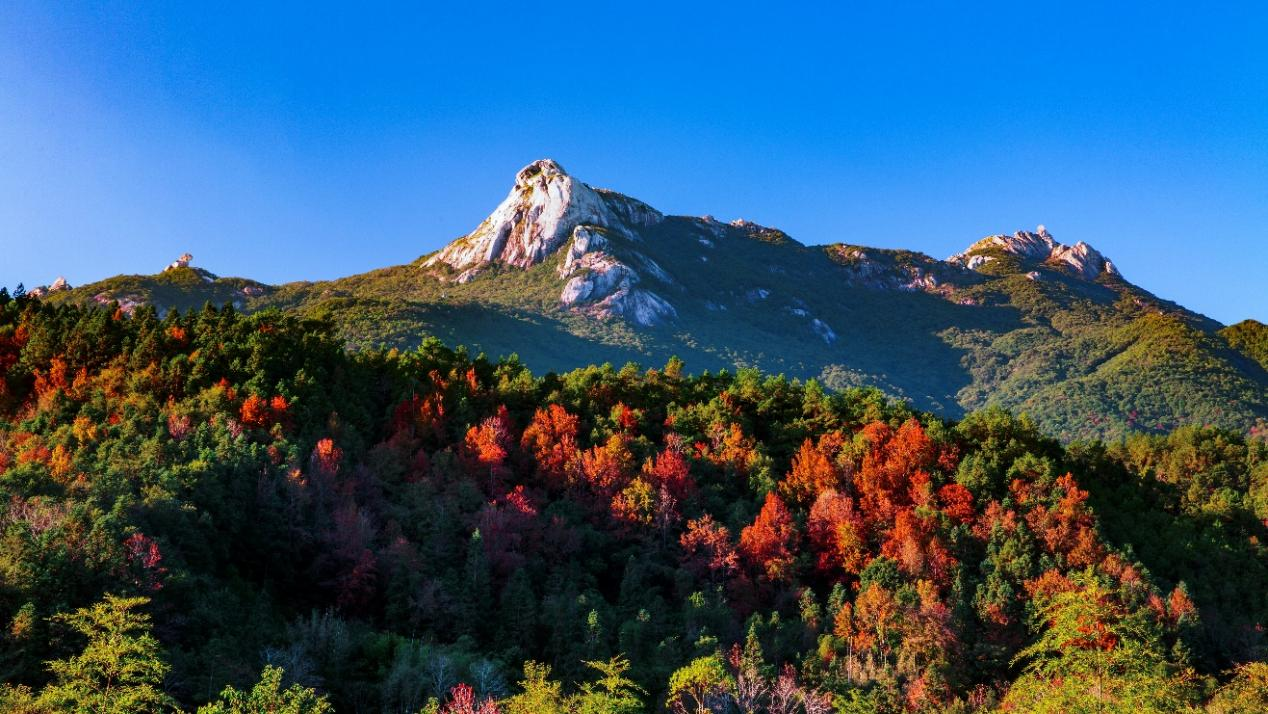 2024年新豐縣楓葉季 暨“華夏”低空科技嘉年華活動開幕
