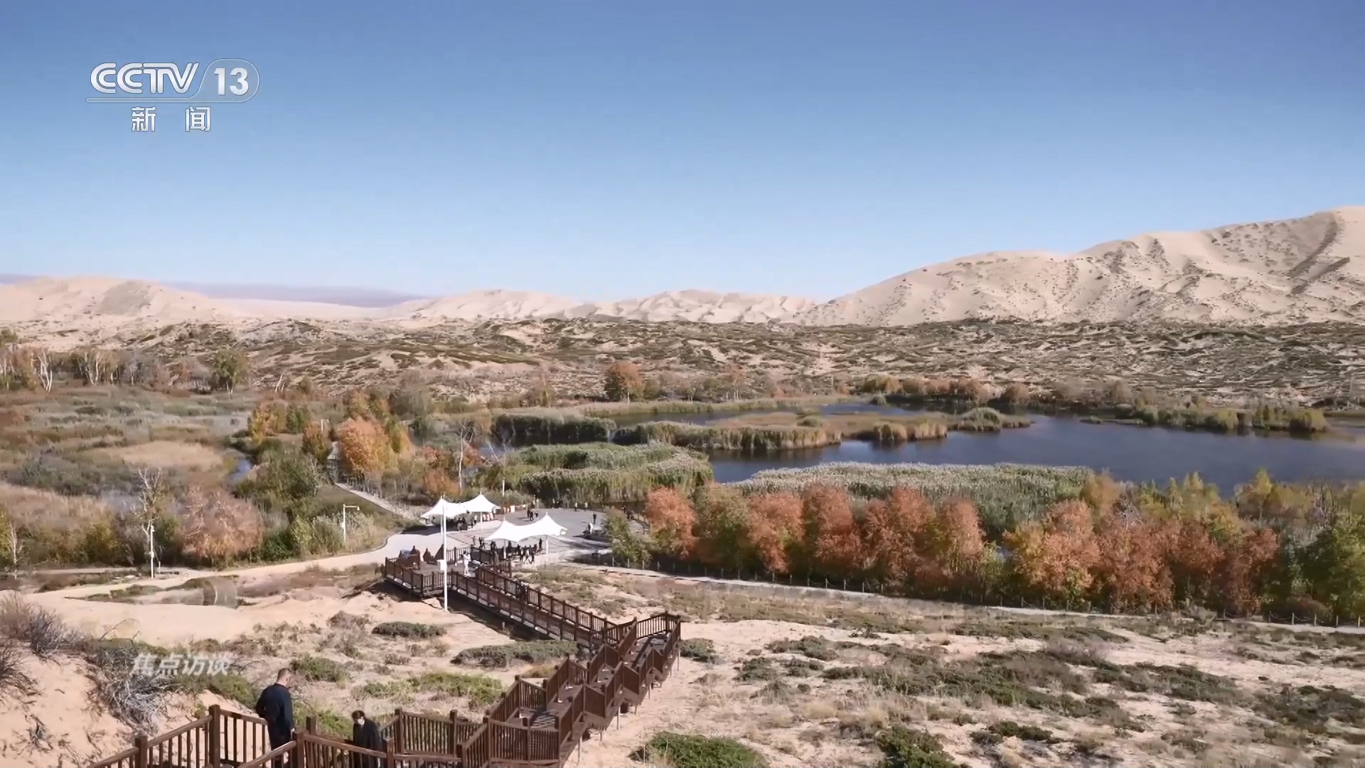 焦點訪談：七十年 戈壁荒灘變美麗家園