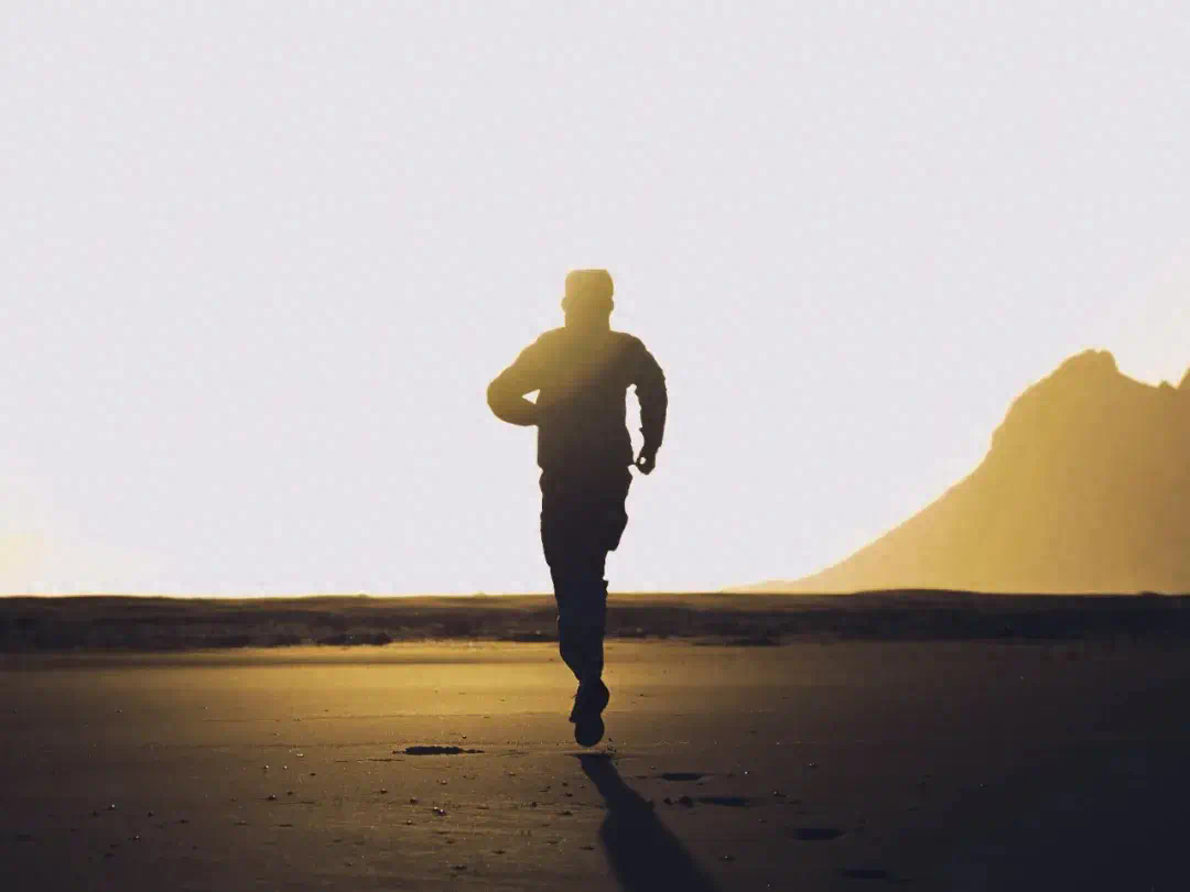 雙11新風(fēng)口背后:身居樓宇,心居曠野