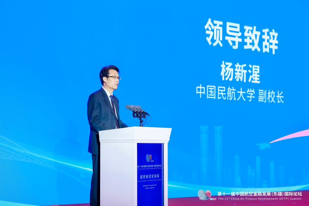 低空2024: 中國(guó)民航大學(xué)副校長(zhǎng)楊新湦：我國(guó)通用航空和低空