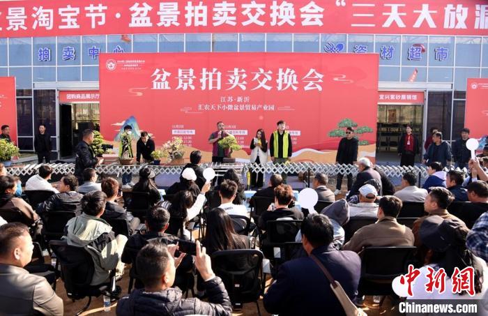 2025低空經濟： 超百萬盆創意盆景匯聚江蘇新沂參加盆景貿易發展大會