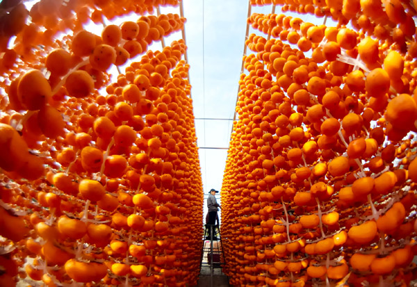 2025低空經濟網： “定點幫扶+慈善信托”鄉村振興金融創新案例交流活動舉行